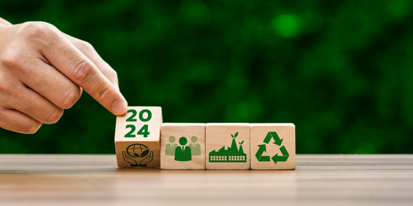 Building a Green Future: Crafting an Eco-Friendly, Sustainable Business Model